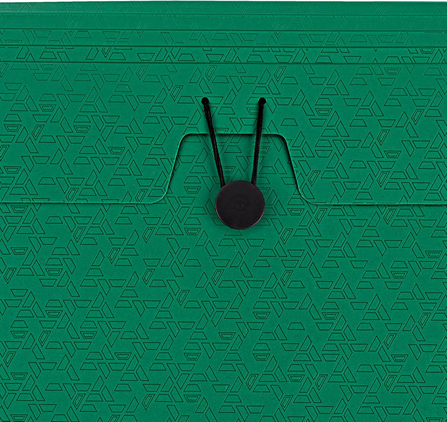 Five Star Expanding File Organizer, 6-Pocket Accordian File Organizer, Bungee Closure, Holds 8-1/2 x 11 Paper, Forest Green (350100D-ECM)